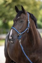 Kantar dla konia Hippo, granatowy/beżowy, rozmiar PONY - Covalliero