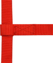 Kantar EKKIA Mini czerwony, rozmiar: FOAL Inna marka
