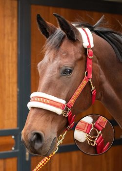 【CSR】 Red Hare, Unrivaled Stallion - EVP Kantar dla konia Mustang, czerwony/czarny, roz. Pony