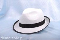 Klienci, których interesował ten produkt, oglądali też