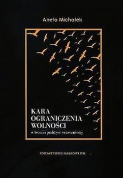 Kara ograniczenia wolności w teorii i praktyce orzeczniczej - Michałek Aneta