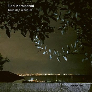 Karaindrou: Encounter - Savina Yannatou, Alexandros Botinis, Stella Gadedi, Maria Bildea, Camerata Orchestra, Argyro Seira