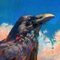 Karasu - Raven Kenshi Yonezu