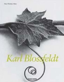 Karl Blossfeldt - Adam Hans Christian