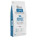 Karma hipoalergiczna dla psów BRIT Care Adult Large Breed, jagnięcina i ryż, 12 kg . - Brit