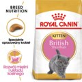 Karma sucha dla kociąt ROYAL CANIN British Shorthair Kitten, 2 kg - Royal Canin