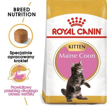 Karma sucha dla kociąt ROYAL CANIN Kitten Maine Coon, 2 kg - Royal Canin