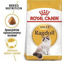 Karma sucha dla kotów ROYAL CANIN Ragdoll Adult, 10 kg