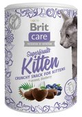Karma uzupełniająca dla kota Brit Snack Superfruits, 100 g - Brit