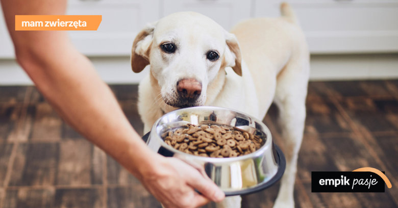 Karmy bezzbożowe dla psów – fakty i mity o diecie bezzbożowej