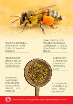 Karta informacyjna A4 "Pyłek pszczeli" (1szt) - wzór KI14 - BEE&HONEY