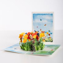 Inne tego producenta