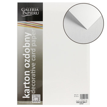 Karton Wizytówkowy A4 20 arkuszy 240G/m2, Kratka Biały - Galeria Papieru