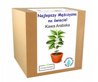 Kawa Arabica Drzewo Kawowe Prezent Dla Chłopaka