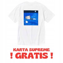 KAWS X UNIQLO UT T-SHIRT ARTBOOK COVER L UNIQLO