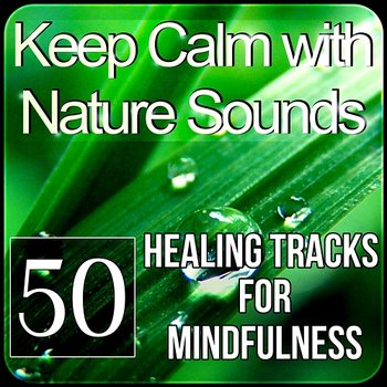 Keep Calm with Nature Sounds: 50 Healing Tracks for Mindfulness, Relaxation and Yoga Meditation, Therapy Music for Sleep, Spa Massage - Calm Music Zone