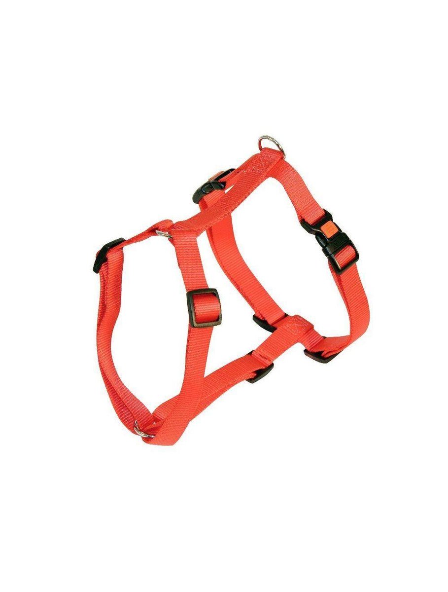 Kerbl Pet Miami Plus Nylonhalsband Mit Softeinlage, Rot, 45-53cm/30mm – Robust, Gepolstert, Für Hunde