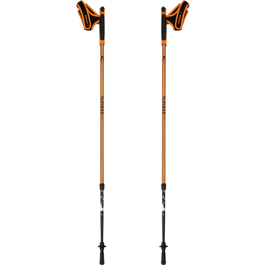 Kije trekkingowe Nordic