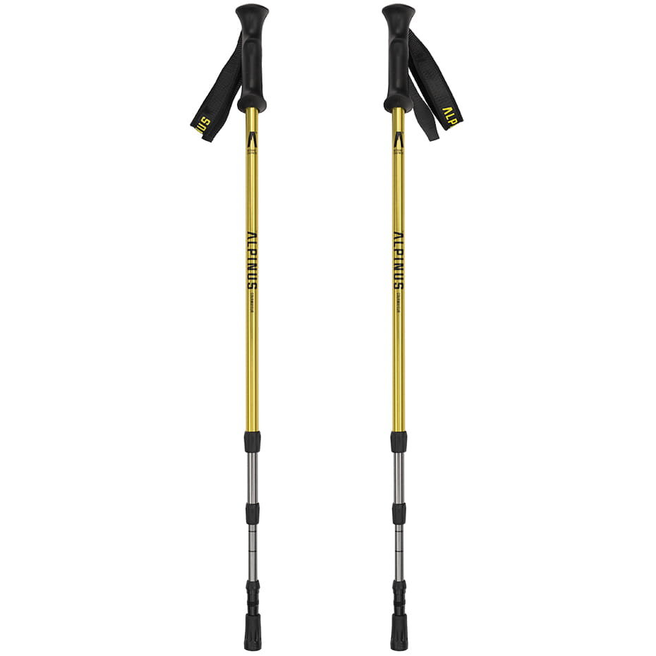 Kije trekkingowe Alpinus