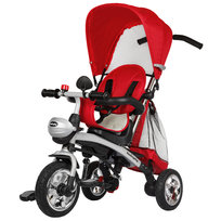 Ecotoys Rower Rowerek Trójkołowy Wózek Jeździk Obracany Ecotoys