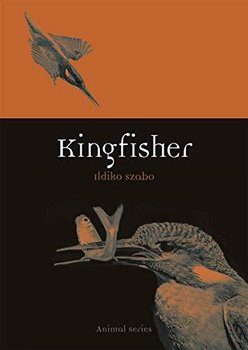 Kingfisher - Ildiko Szabo