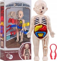 KingSzop Model Ludzkiego Ciała Anatomiczny Organy Ludzkie Edukacyjna Zabawka dla Dzieci, Młodzieży i Dorosłych