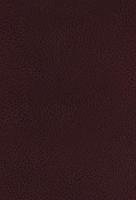 KJV, The King James Study Bible, Bonded Leather, Burgundy, Indexed, Full-Color Edition - Nelson Thomas