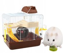 Klatka Dla Chomika Brązowy Nice Life
