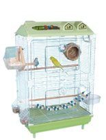 Klatka Dla Ptaków Przezroczysta 47X30X77Cm + 8 Elementów Zielona