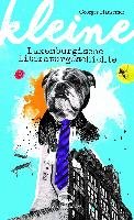 Kleine luxemburgische Literaturgeschichte - Hausemer Georges