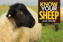 Know Your Sheep Jack Byard