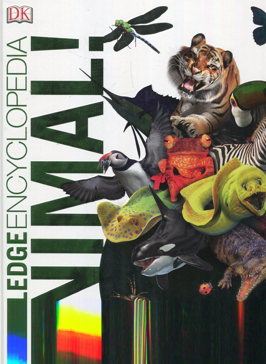 Knowledge Encyclopedia Animal! - Woodward John | Książka w Sklepie 