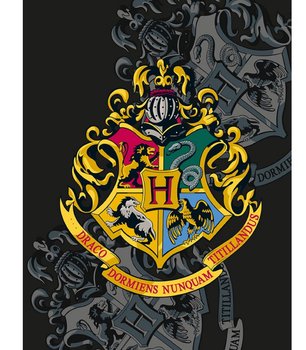 Koc 130X170 Harry Potter Hogwarth Ron Hermiona Dumbledore - Halantex