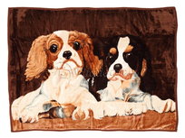 Koc Elway 160x210 bernardyny cavaliery