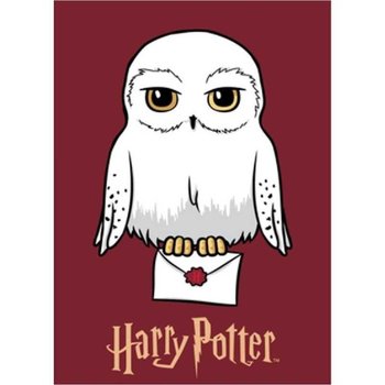 Koc Polarowy Polar 100X140Cm Harry Potter - Aymax