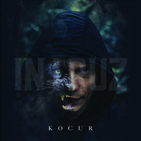 Kocur Intruz