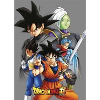 KOCYK  100x140cm DRAGON BALL Z Aymax