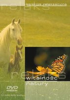 Kolekcja Relaksacyjna - Witalność Natury Various Artists