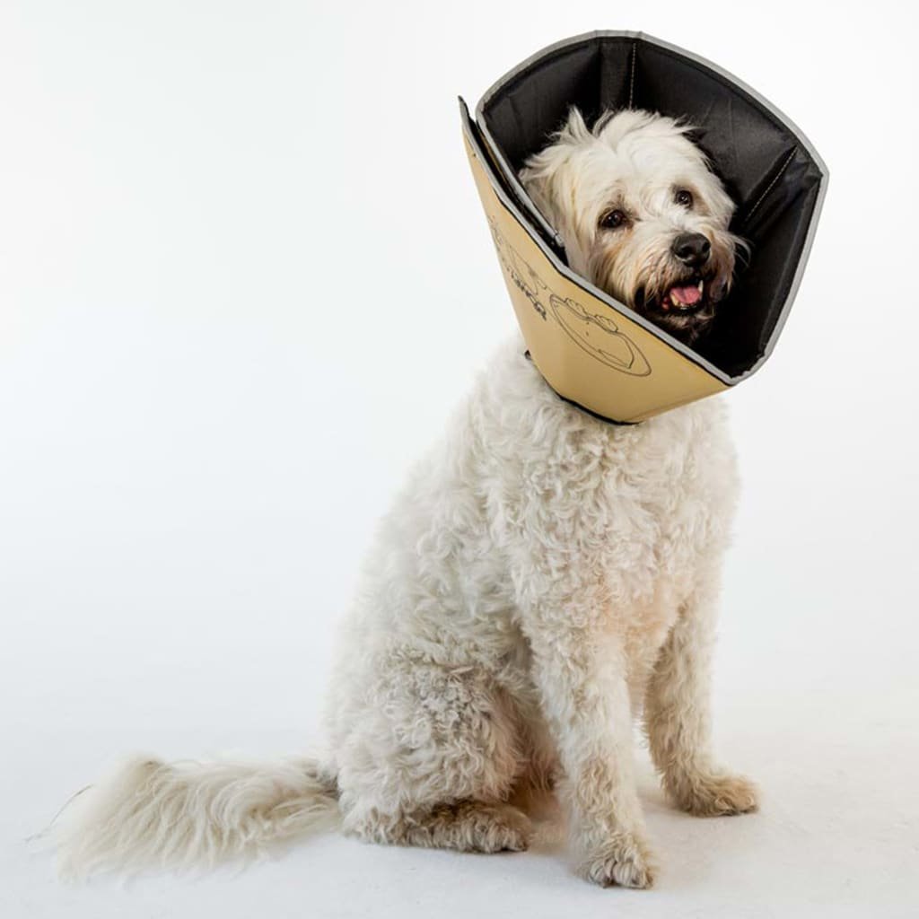Jak Zrobić Kołnierz Dla Psa Kołnierz ochronny dla psa ALL FOUR PAWS Comfy Cone, rozmiar XS, 11 cm