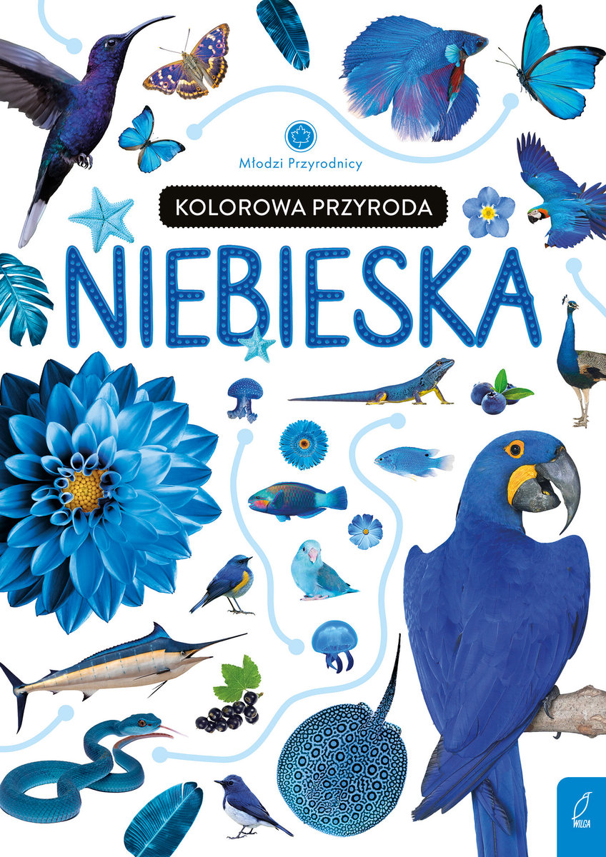 Kolorowa przyroda. Niebieska