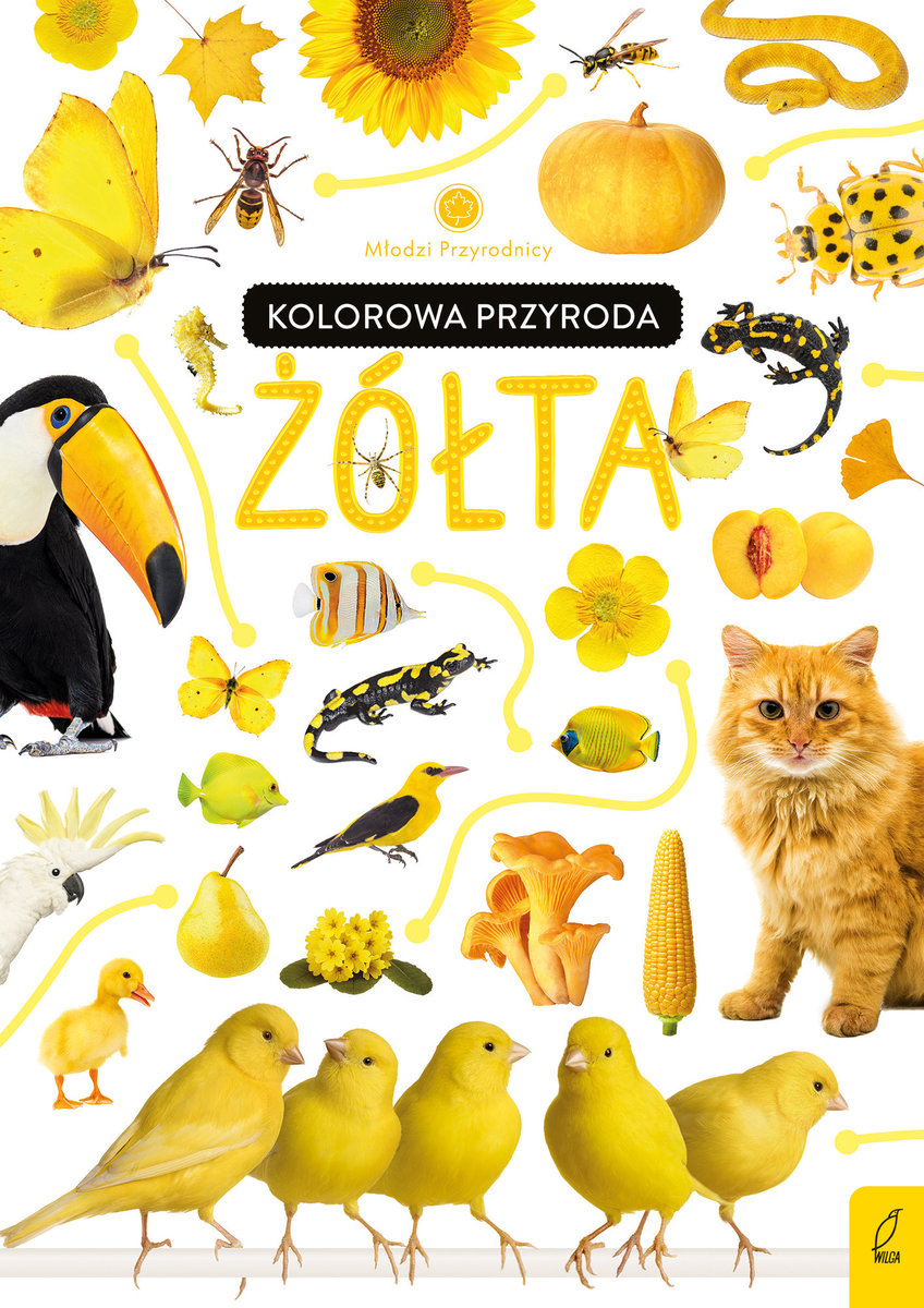 Kolorowa przyroda. Żółta