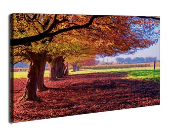 Kolorowy Krajobraz - obraz na płótnie 40x30 cm - Galeria Plakatu