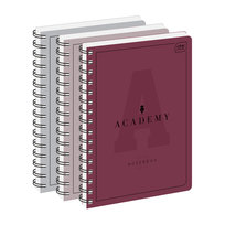 Kołozeszyt A4, Academy, w kratkę 100 kartek, Interdruk cena za sztukę