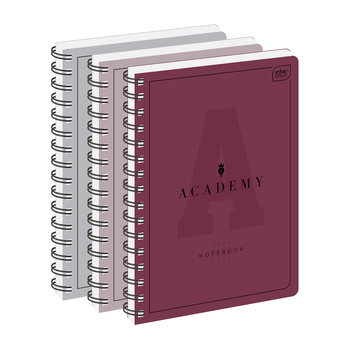 Kołozeszyt A4, Academy, w kratkę 100 kartek, Interdruk cena za sztukę - Academy