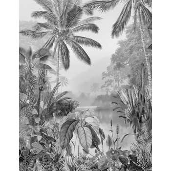 Komar Fototapeta Lac Tropical Black & White, 200x270 cm - Komar