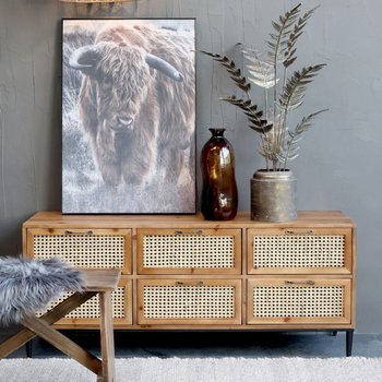 Komoda Naturalna Rtv Z Plecionką Wiedeńską - Chic Antique Denmark