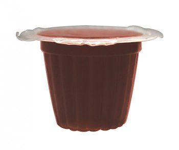 Komodo Jelly Pot Brown Sugar- Pokarm Brązowy Cukier W Żelu - KOMODO