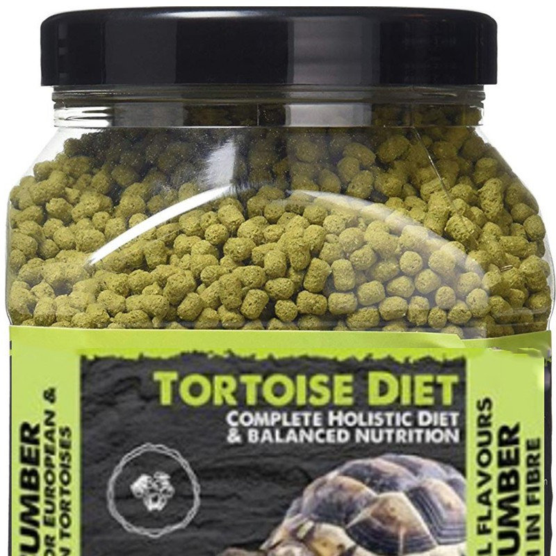 Komodo Tortoise Fruit Mix Nutrient Rich Vitamin Minerals Boost Nibbling | Senegal