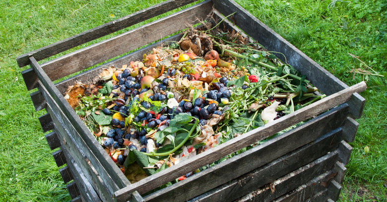 Kompostownik: jak zrobić kompostownik domowy i ogrodowy? Jak zrobić kompost?