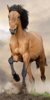 Koń Zwierzęta Konik Kucyk Ręcznik 140X70 Bawełna - Jerry Fabrics